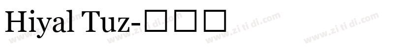 Hiyal Tuz字体转换